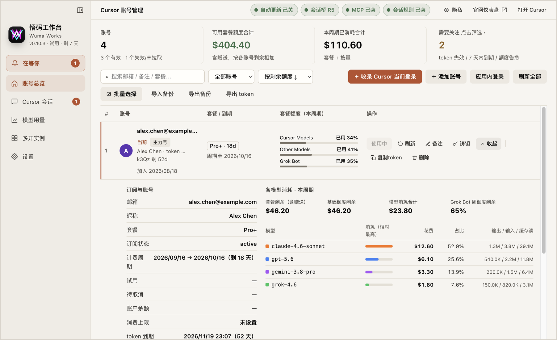 展开详情：订阅信息和各模型花费